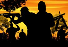 Gunmen Abduct Three Cocoa Research Institute Workers In Ibadan