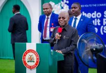 Political Party, State of Origin Irrelevant in Appointments — Otti