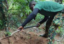 Army Recovers Suspected Remains of Soldier Couple Killed Before Wedding