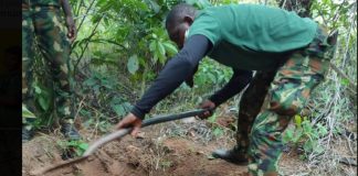 Army Recovers Suspected Remains of Soldier Couple Killed Before Wedding