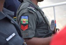 Man Arrested for Allegedly Killing Brother in Cross River