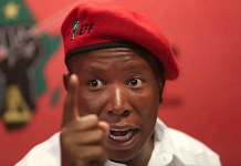 Julius Malema Sentenced to 5 Years in Prison Over Firearm Offence