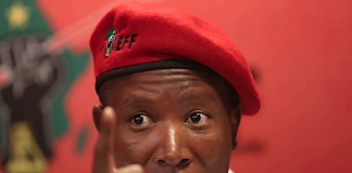 Julius Malema Sentenced to 5 Years in Prison Over Firearm Offence