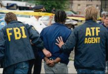 U.S. Court Jails Nigerian Man for Selling Fake Nursing Diplomas, Licences