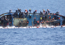 8,000 Migrants, Including Nigerians, Died or Went Missing on Global Routes in 2025 — IOM