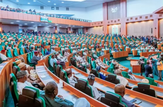 APC Primaries Shake House of Reps as Over 50 Powerful Lawmakers Lose Return Tickets