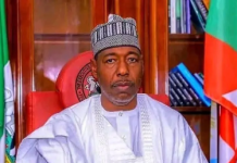 Cholera Outbreak Spreads Across 138 Borno Communities, Claims 37 Lives