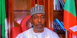 Cholera Outbreak Spreads Across 138 Borno Communities, Claims 37 Lives