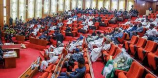 Again, Senate Blocks Motion to Probe Alleged Fake Government Agency