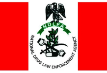 NDLEA Arrests Elderly Suspects for Drug Trafficking in Abia, Ekiti