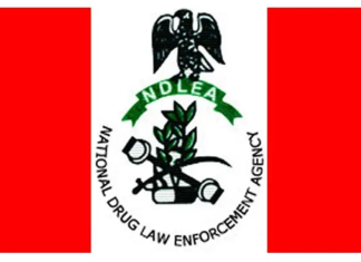 NDLEA Arrests Elderly Suspects for Drug Trafficking in Abia, Ekiti