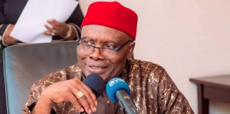 Supreme Court Ruling: Wabara-Led BoT Takes Over PDP, Moves to Install Interim NWC