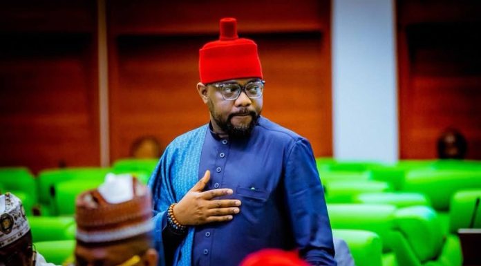 61 Opposition Lawmakers Nominate Ugochinyere for House Minority Leader Position