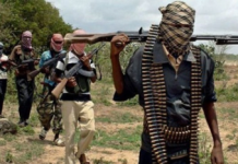 Emir of Argungu Urges Nigerians to Legally Acquire Arms for Self-Defence