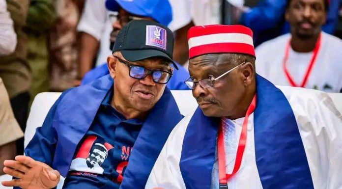 NDC Exempts Peter Obi, Kwankwaso From Anti-Defection Oath