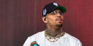 Chris Brown Ordered to Pay $12.9 Million Over Dog Attack on Housekeeper