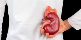 Signs of Kidney Problems You Should Never Ignore