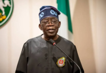 Vatican Envoy Meets Tinubu, Hints at Possible Visit by Pope Leo XIV to Nigeria