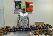 NDLEA Arrests Nigerian-British Grandmother with 13kg Cocaine Hidden in Plantain Peels