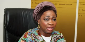 NiDCOM Boss Urges Nigerians Abroad to Promote Positive Image of Country