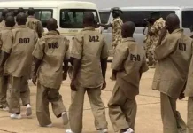 Senate to Tinubu: Stop Rehabilitating Boko Haram Members, Prosecute Them