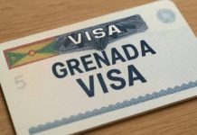 Grenada Grants Visa-Free Entry to Nigerians to Boost Trade and Investment