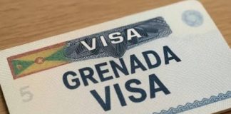 Grenada Grants Visa-Free Entry to Nigerians to Boost Trade and Investment