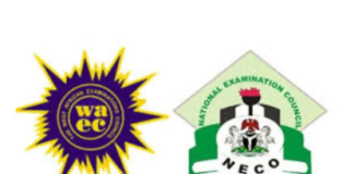 NANS Rejects Reported WAEC, NECO Fee Hike