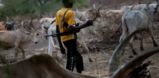 Residents Flee as Suspected Herdsmen Attack Another Benue Community