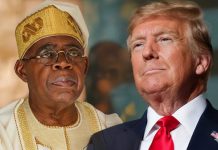 Trump Commends Tinubu’s Fight Against Terrorism