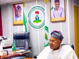 Reps Order IGP to Produce Alleged PFIPC DG Adeyemi on Wednesday