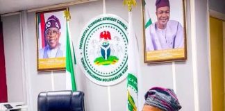 Reps Order IGP to Produce Alleged PFIPC DG Adeyemi on Wednesday