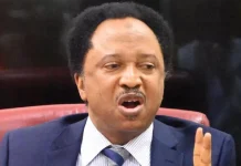 Shehu Sani: Opposition Angry as Adeleke Thanks Tinubu for Osun Election Victory