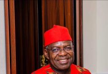 Otti Approves N1m Interim Support for each 31 Abia Returnees From South Africa