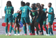 WAFCON 2026: Super Falcons Crash Out as Cameroon End Nigeria’s Title Defence