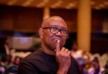 “Nigeria’s Future Is at Risk” — Peter Obi raises alarm Over Politicians’ Unverified Certificates