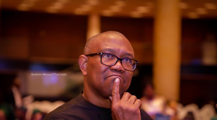 “Nigeria’s Future Is at Risk” — Peter Obi raises alarm Over Politicians’ Unverified Certificates