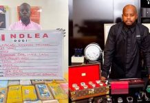 Kc Luxury Sues NDLEA, Demands N190m Over Continued Detention