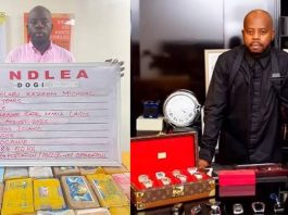 Kc Luxury Sues NDLEA, Demands N190m Over Continued Detention