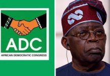 ADC Taunts Tinubu: ‘You’ve Entered Panic Mode’ Over CNG Expansion