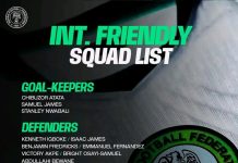 AFCON 2027 Race: Chelle invites Ndidi, Osimhen, Iwobi, 21 others for Barea & Wild Dogs