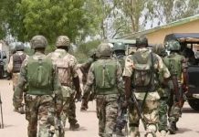 Troops Arrest Suspected Terrorist Informant In Borno