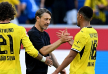 Nwaneri Shines As Dortmund Complete Comeback Win On Bundesliga Debut