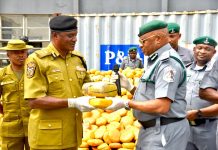 Customs Intercepts N3.95bn Illicit Drugs, Mercury in Lagos