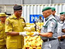 Customs Intercepts N3.95bn Illicit Drugs, Mercury in Lagos