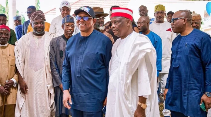 2027: NDC Awaits Obi, Kwankwaso’s Picks for Campaign Council