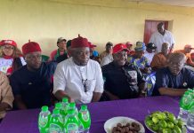 Ibere Monarchs Back Atuma, Charge Him to Promote Peace in Abia Central