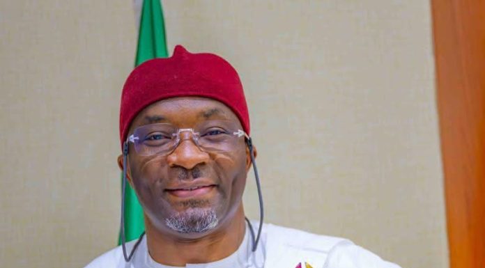 BEN KALU: WHY BENDE MUST PROTECT ITS IROKO