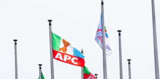Kogi LG Polls: APC Wins All 21 Chairmanship Seats, 239 Councillorship Positions